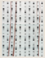 KT 2004 046
          <br/>
          zonder titel
          <br/>
          <em>Bijwaard, Pieter (1955)</em>